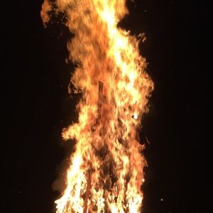 Meet your Posher, Mikenna